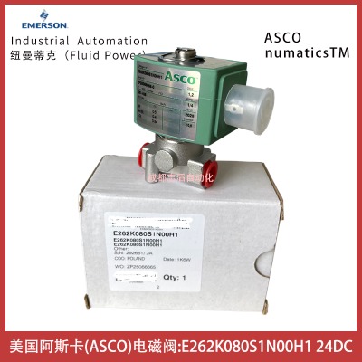 E262K080S1N00H1˹ASCO늴y-