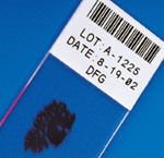 b-481Ƭ(bio)