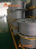 oŤ䓽zK16mm䓽zK9.5/ס r ؛