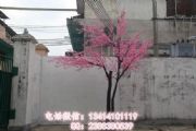 ٘ѻ~҃(ni)ѻӆ ʥ^