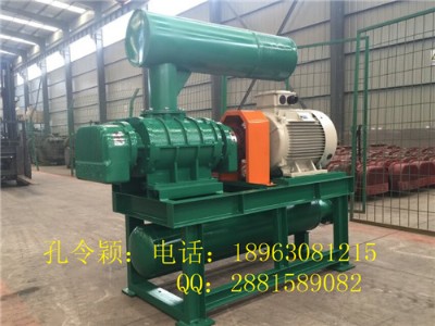 電廠羅茨風(fēng)機廠家型號 電廠羅茨風(fēng)機現(xiàn)貨供應(yīng)