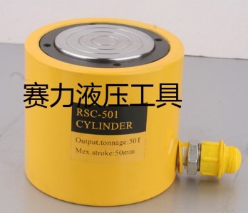 RSC-10пҺǧ
