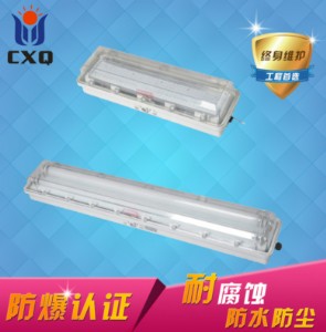 ɹ2*20w·ҷ2*36w