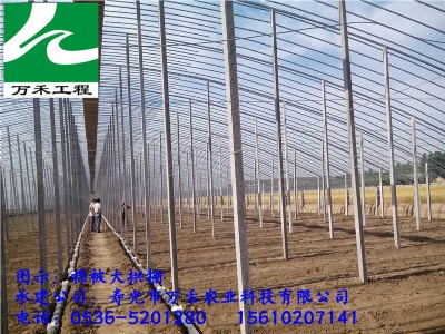 溫室工程建設(shè)    冬暖式棉被拱棚