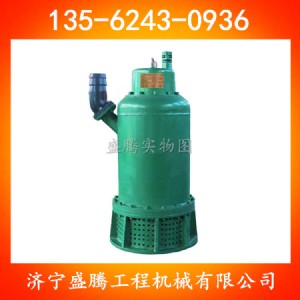 bqs70-130/2-55/n늱