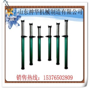 DW28-250/100X͆wҺ֧ (ni)עʽwҺ֧
