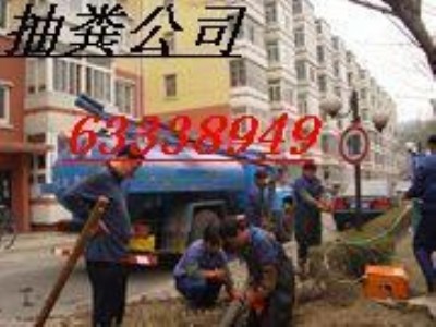 ^(q)S63338949