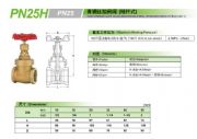pn25h~lyձkitz