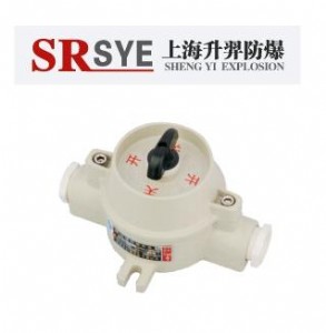 sw-10ϵз_P
