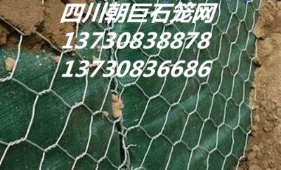 ʯ\W(wng)䡢eW(wng)ߠʯ\W(wng)·oW(wng)ӽˉ|l(f)