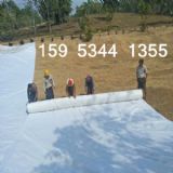 200g/m2Lwo?f)?/>
<div><a href='#' onClick='op1(38685)'><img src='/image/xunjia.gif' style=