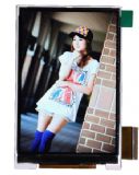 ֙C(j)@ʾlcm
