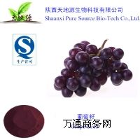 廠家現(xiàn)貨供應葡萄籽提取物