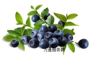 ԴF(xin)؛(yng)oӄɫأȻ{(ln)ݮ֭