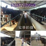 2015B(yng)HٍX᣿ʡB(yng)H