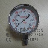 YEATHEI_(ti)75mmP(pn)0-30kpaȻ΢r(ji)