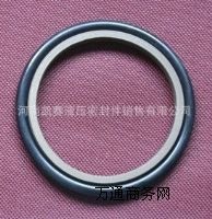 供應(yīng)軸用油缸密封圈
