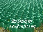 Ͼеֲݸgӭ