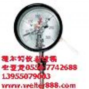 維爾特牌WSSX電接點雙金屬溫度計