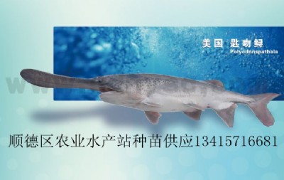 ~硢\