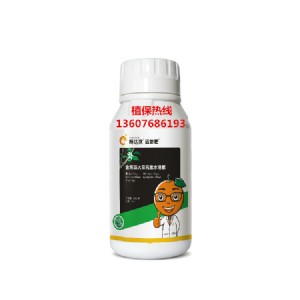 ʵȫa䇊ʩ
