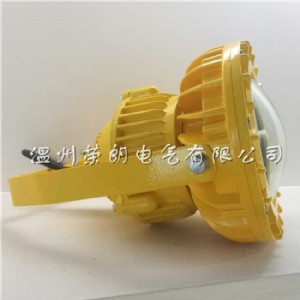 iic隔爆型led防爆燈 30w防爆工廠燈