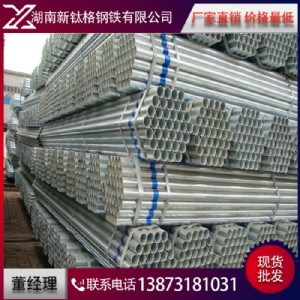 F(xin)؛(yng)(yu)|(zh)\ 僈A \  ĻY(ji)(gu)