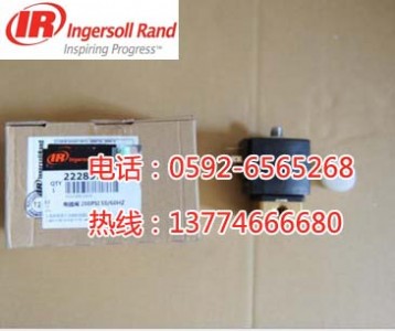 22289797Ӣmd_P(gun)