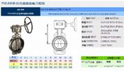 臺灣RING東光閥門FIG.890延性鑄鐵齒輪式蝶閥