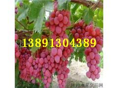 Ѯa(chn)ؼtѻ