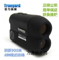 ݼyx Dŵ YP900H
