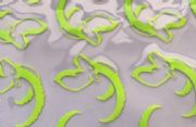 ӹC(bio)