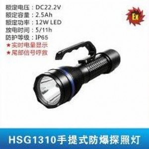 hsg1310ʽ̽՟