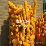 _(ti)Ȧ׾W(wng)S*|ԴȦӾW(wng)r(ji)