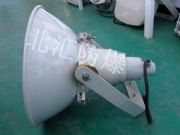 ֱNNTC9200ͳ(qing)Ͷ  1000W