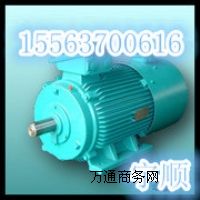 YBϵеV÷늙C,YB250M-55-4늙C