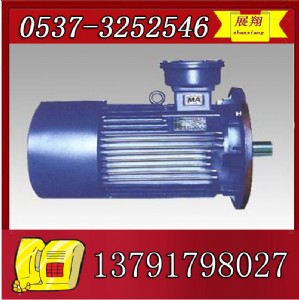 jdsb-22 ƤC늙C