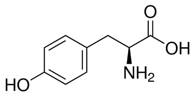 l-an l-tyrosine