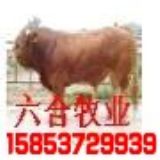 Sţ2012r(ji)(D)